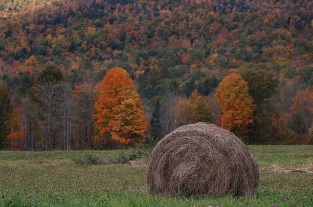 haystack