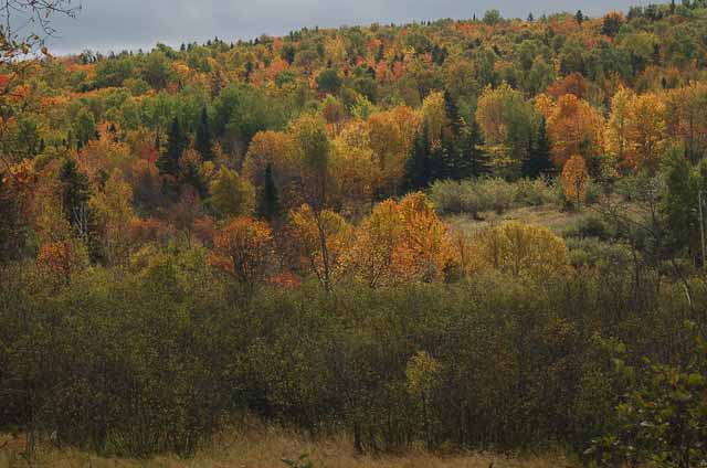 colorful hills