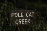 Pole Cat Creek