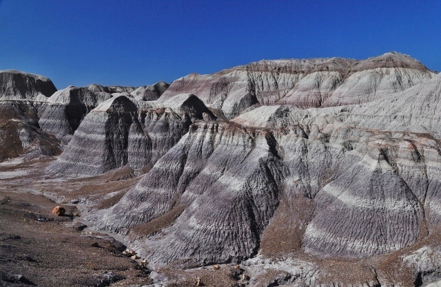 The Petrified Forest