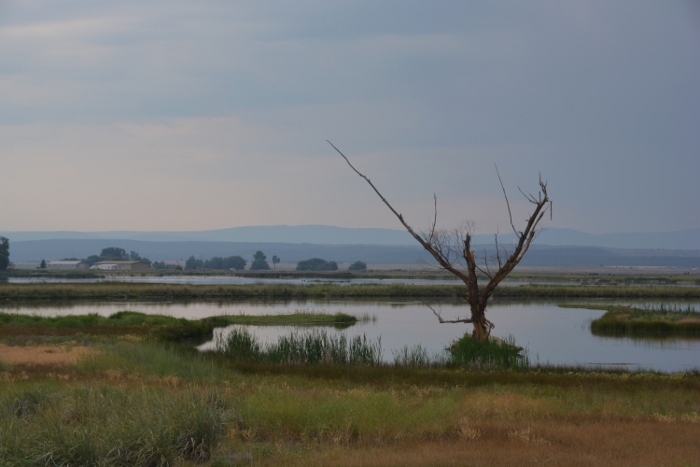 Alturas, CA