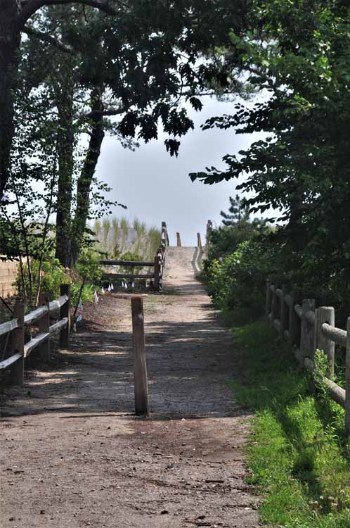 pathway to beach