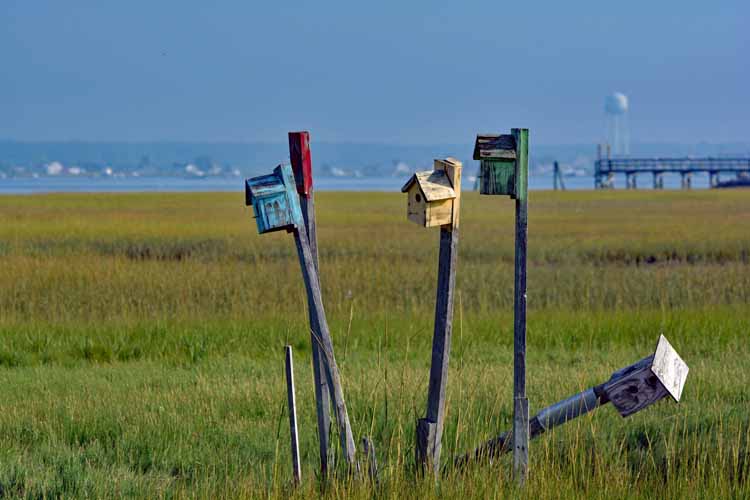 birdhouses