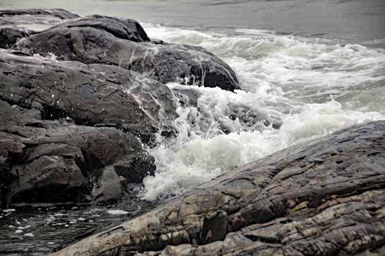 rocky shore