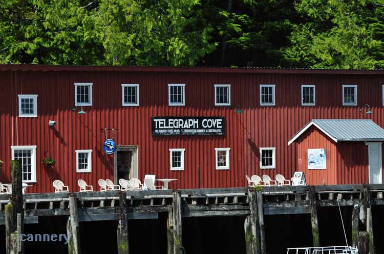 telegraph cove