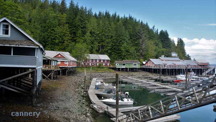 telegraph cove, the town