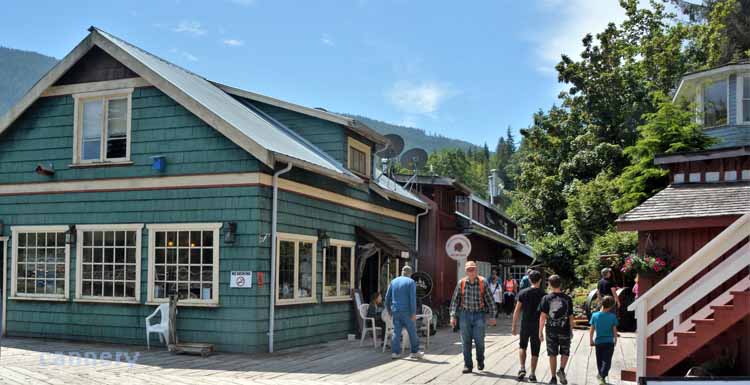 telegraph cove, the town