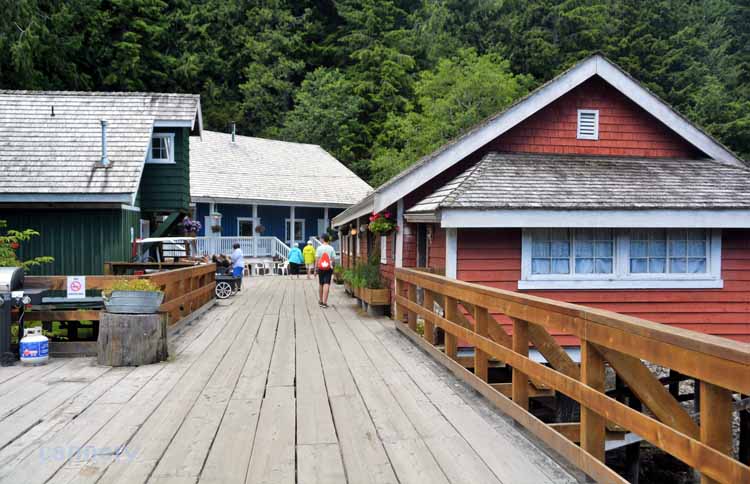 telegraph cove, the town