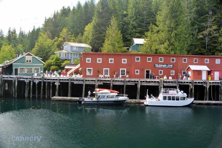 town telegraph cove