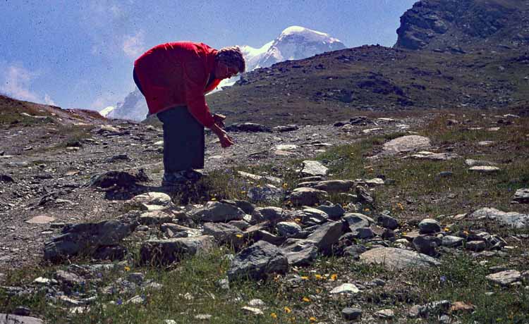 mom bent looking for rocks