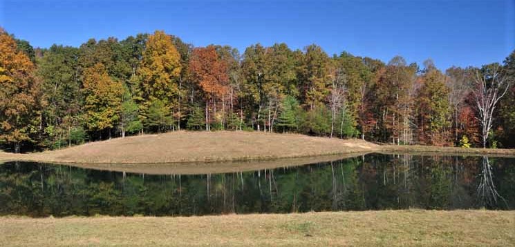 pond and autumn trees