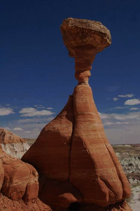 The Toadstool Trail