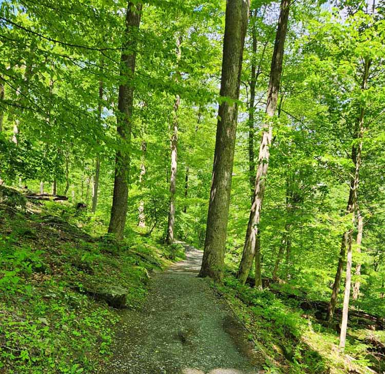 waterfall trail
